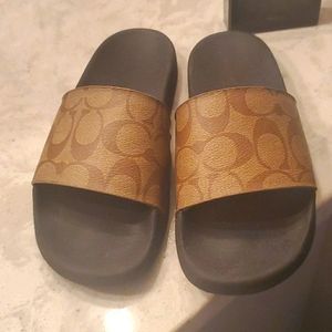 Coach slides